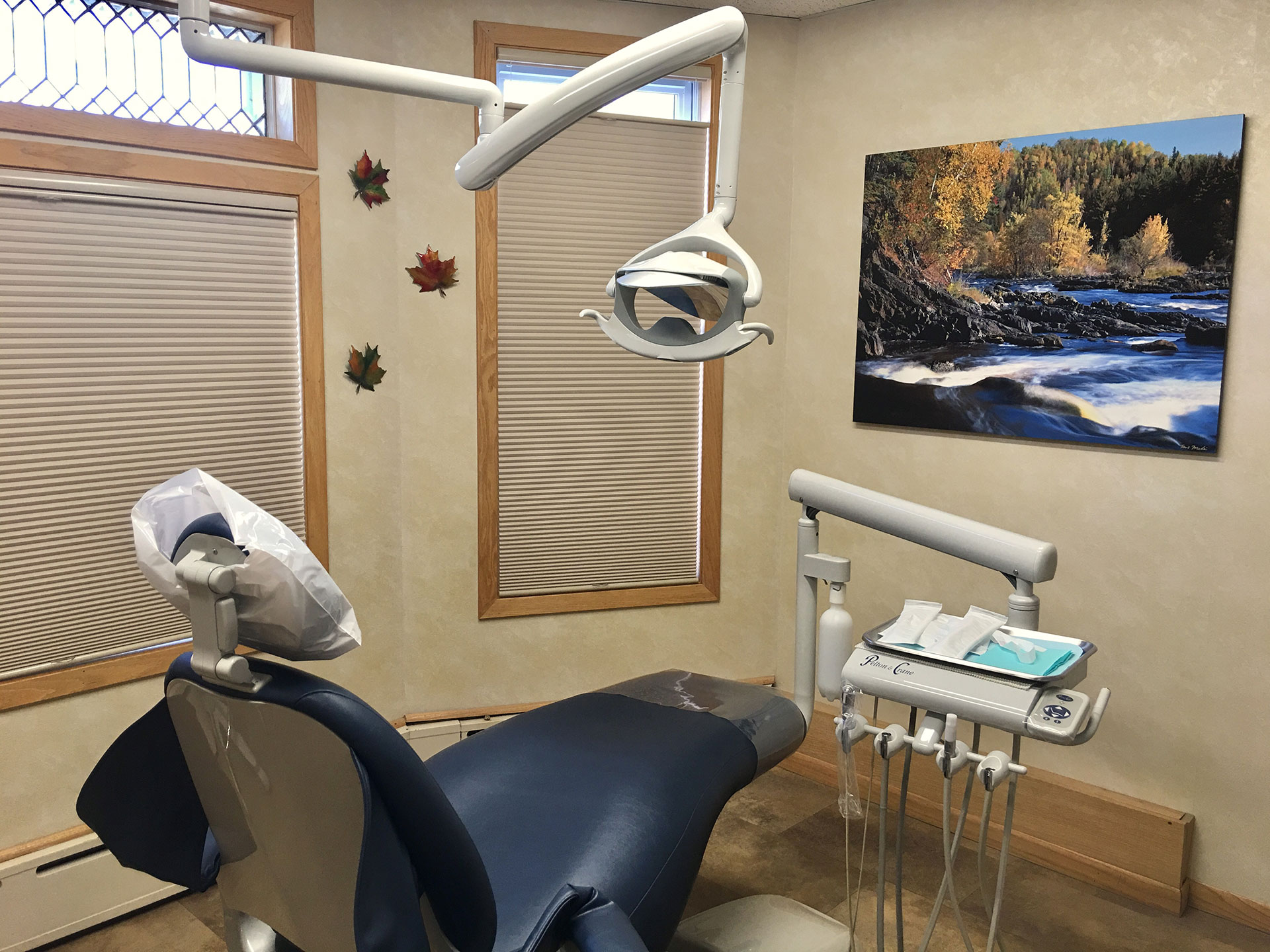 Dental Procedures - Dentist in Virginia MN - Plum Tree Dental