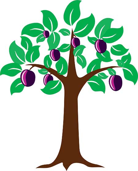Dentist in Virginia MN - Plum Tree Dental